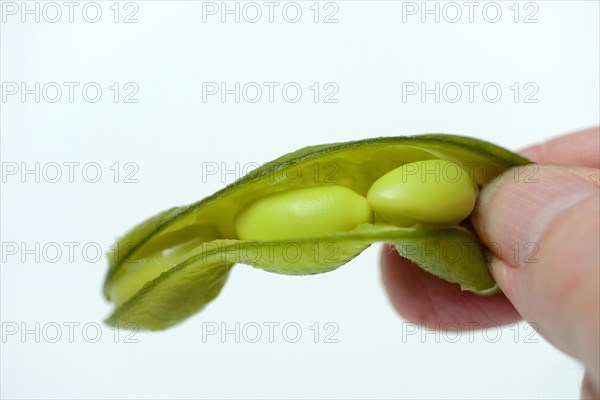 Cooked unripe soya beans