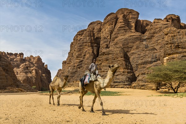 Boy riding on camel
