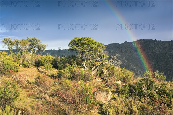 Typical landscape in the Sierra de Andujar National Park