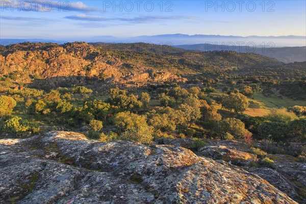 Typical landscape in the Sierra de Andujar National Park