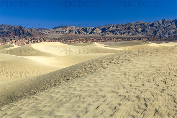 Mesquite Flats Sand Dunes