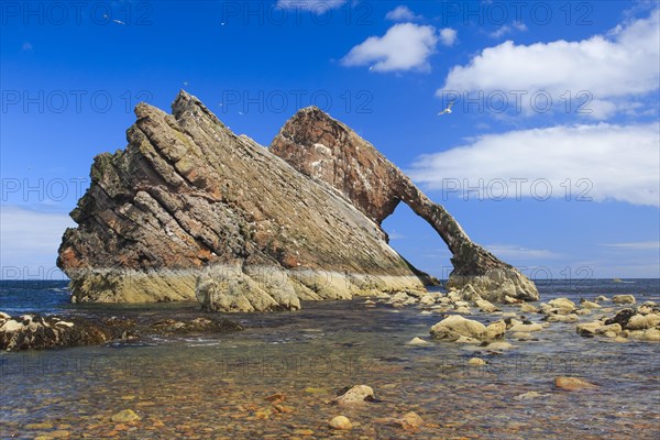 Bow Fiddle Rock