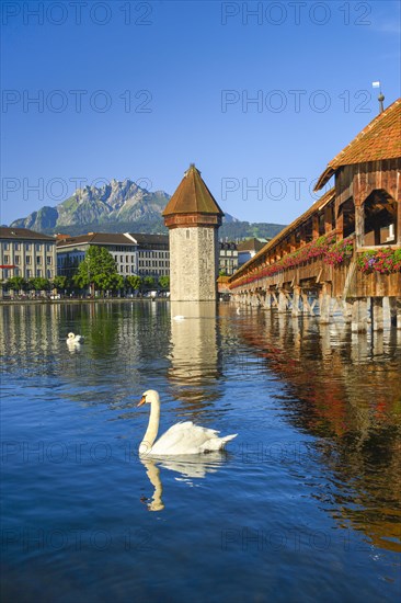 Chapel Bridge with Pilatus