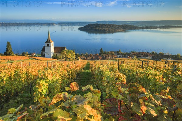 Ligerz on Lake Biel