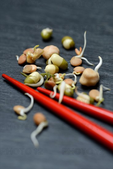 Mixed sprouts of lentils