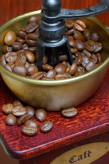 Coffee beans in a coffee mill