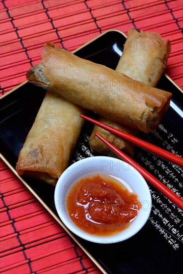 Spring roll and bowl with sauce