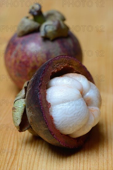 Crimson mangosteen