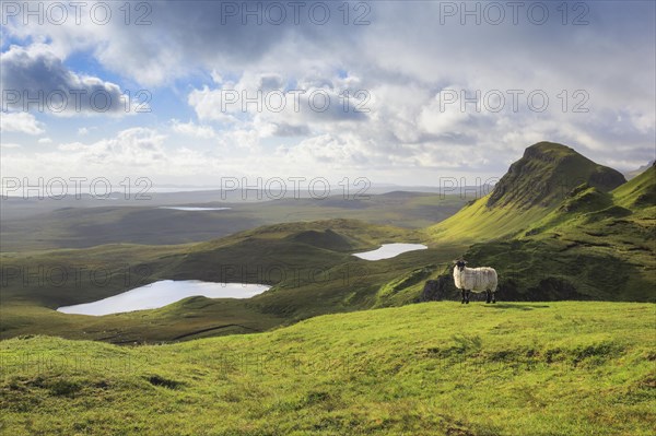 Trotternish