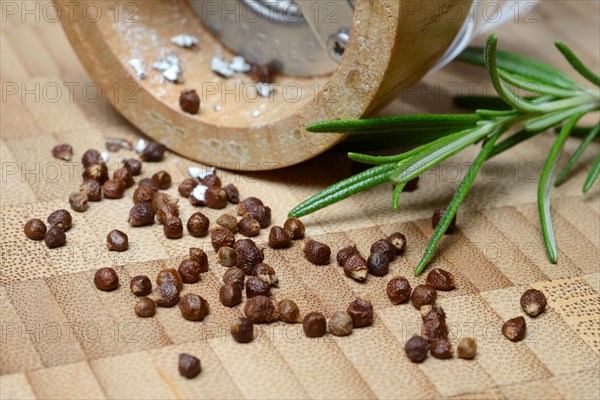 Aframomum melegueta with pepper mill