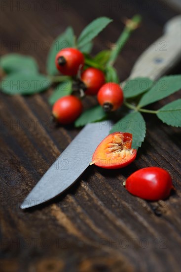 Rose hips with kitchen knife