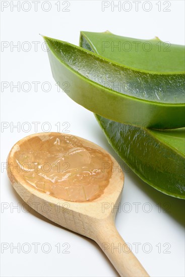 Aloe leaf discs and cut leaf