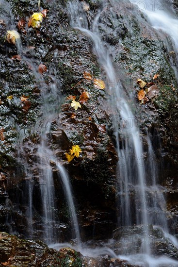 Wutach gorge