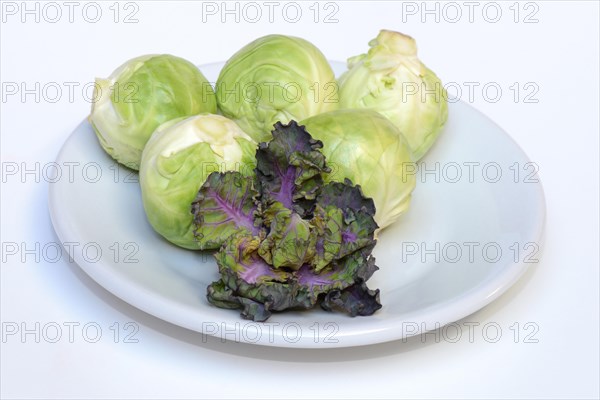 Flower Sprouts and Brussels sprouts