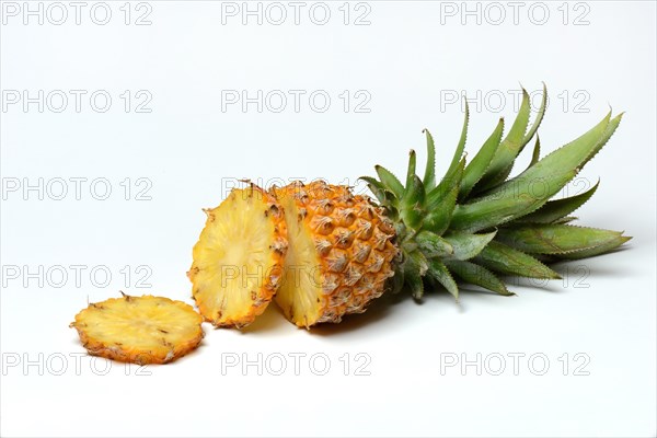 Truncated Pineapple