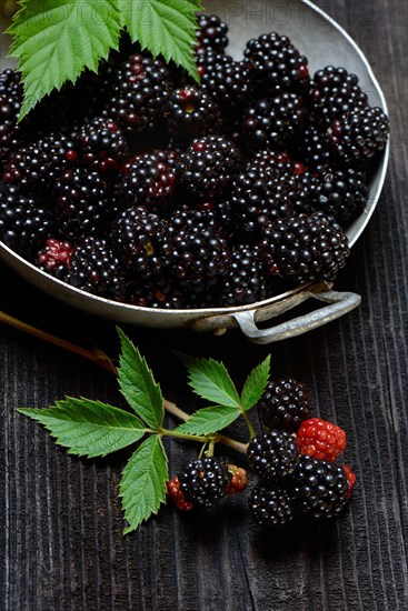 Blackberries