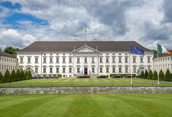 Bellevue Palace with European and Irish flag