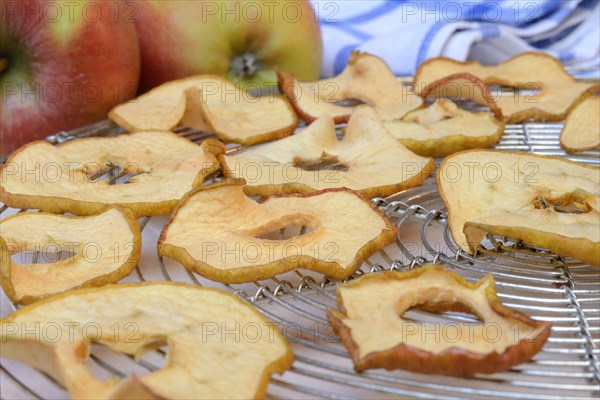 Dried apple slices and apples