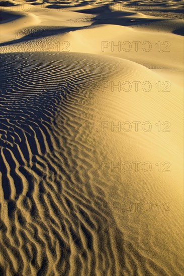 Mesquite Flats Sand Dunes