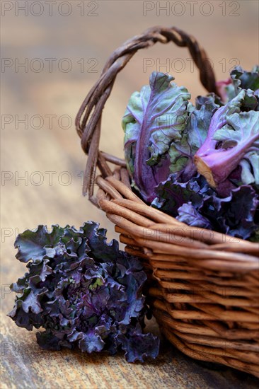 Flower Sprouts in baskets