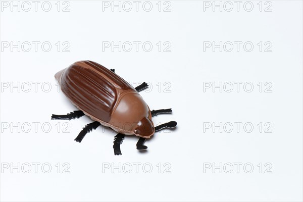 Chocolate ladybirds