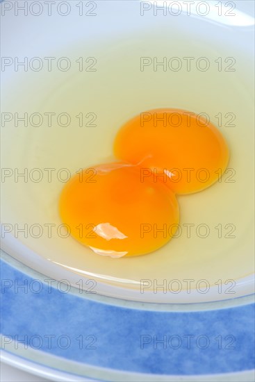 Hen's egg with double yolk