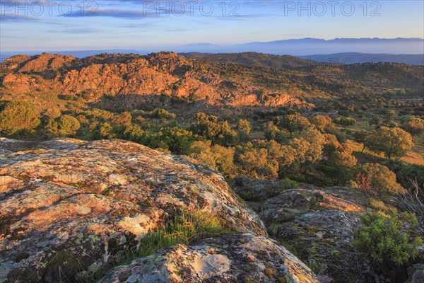 Typical landscape in the Sierra de Andujar National Park