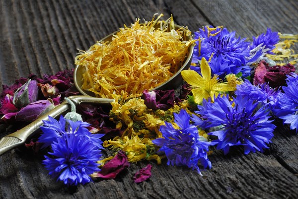 Flowers and spoons