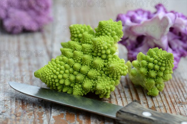 Different varieties Cauliflower