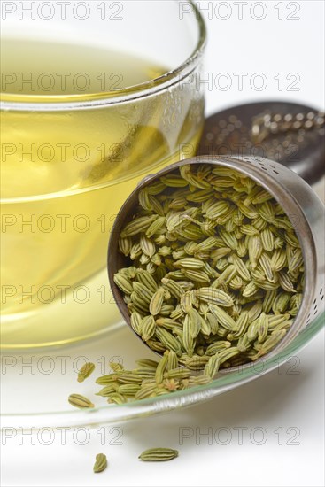 Fennel tea in cup and fennel seeds in spoon