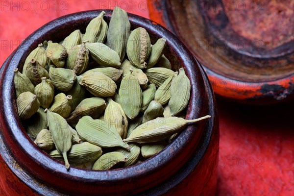 Cardamom