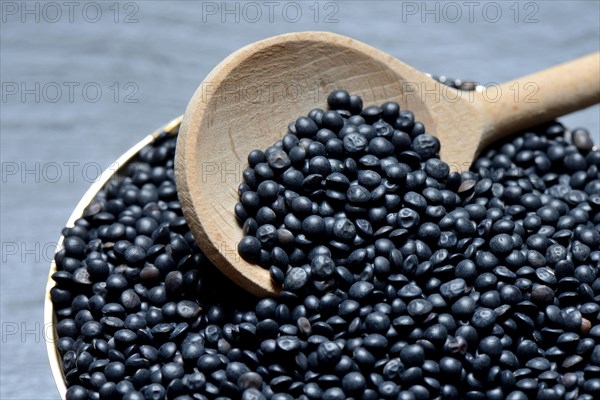 Beluga lentils in cooking spoon