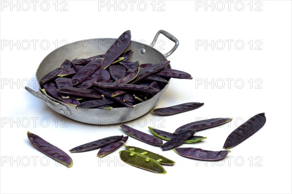 Violet pods