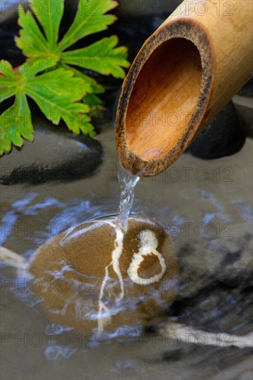 Water flows from bamboo cane