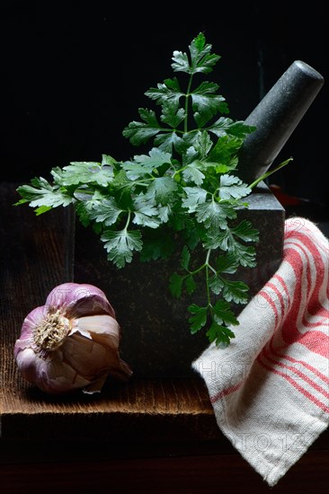 Smooth parsley in grated shell and garlic bulb