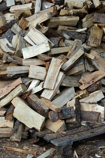 Firewood