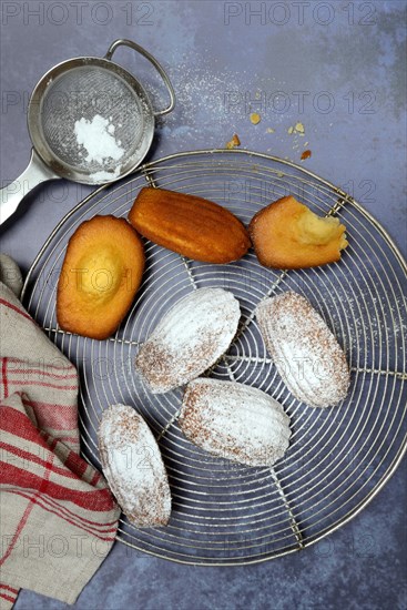 Madeleines on cake grid