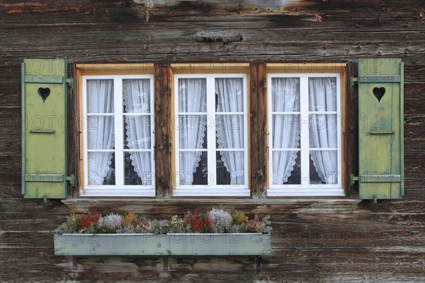 Detail of Swiss Mountain House