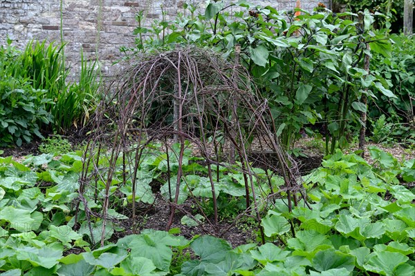 Climbing aid made of branches