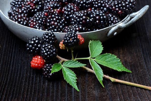 Blackberries