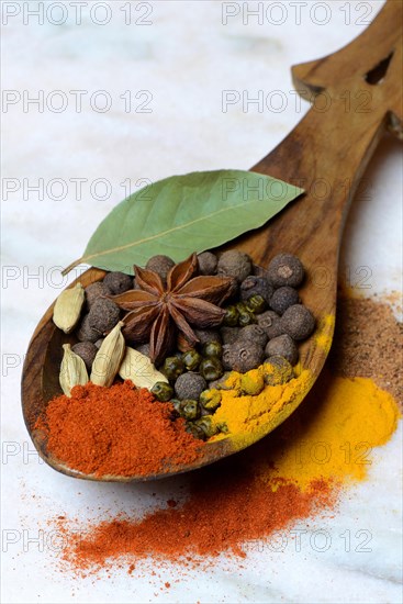 Various spices in wooden spoon