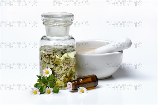 Daisy blossoms and daisy tincture