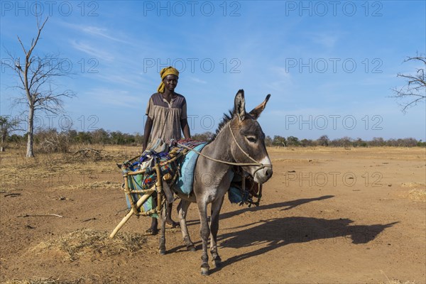Beduin woman with a donkey