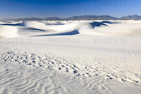 Gypsum Sand Dunes