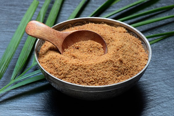 Coconut blossom sugar in shell