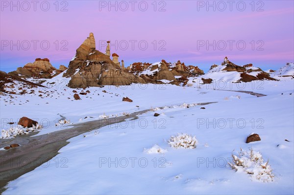 Bisti Badlands