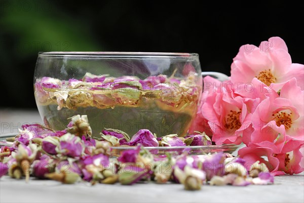 Rose tea in cup and rose buds