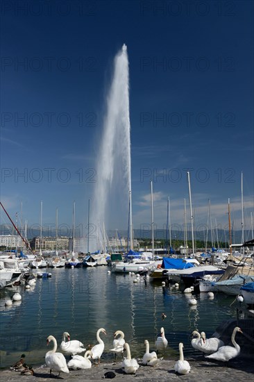 Jet d'eau