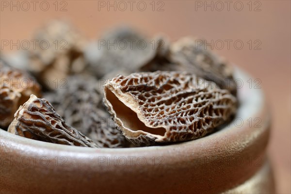 Dried morels in shell