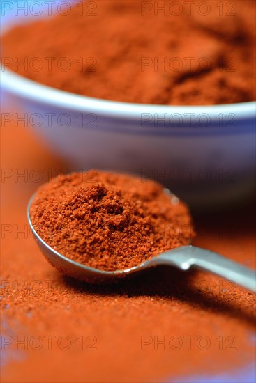 Paprika powder in spoon